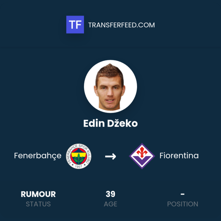 edin-dzeko-fenerbahce-fiorentina-12330567