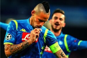 hamsik
